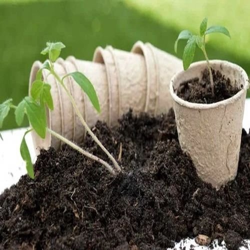 Nurseries Plant Soil