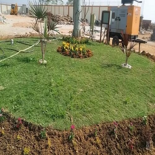 Office Garden Maintenance Services