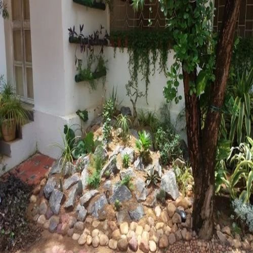 Rock Garden Maintenance Services