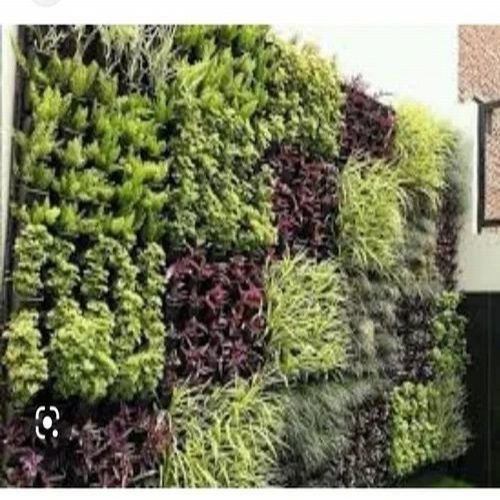 Vertical Landscape Gardening Services