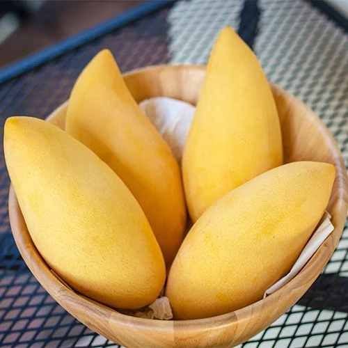 A Grade Fresh Mallika Mango