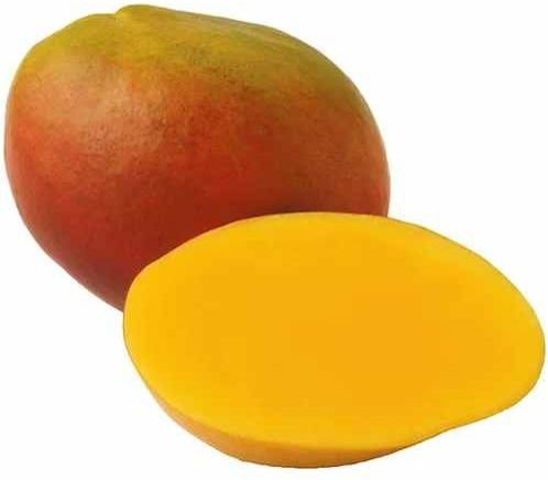 A Grade Fresh Tommy Atkins Mango