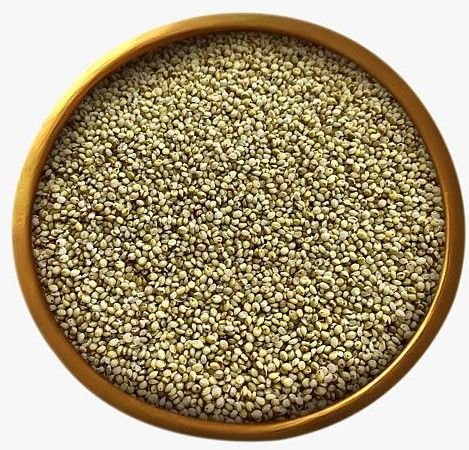 Browntop Millet Seeds