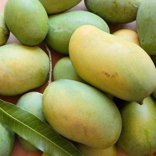 Fresh Amrapali Mango