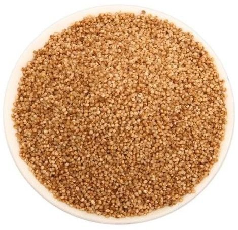 Kodo Millet Seeds