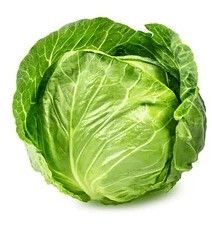 A Grade Fresh Cabbage