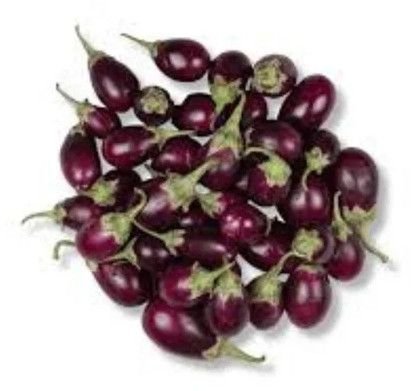 Fresh Small Brinjal