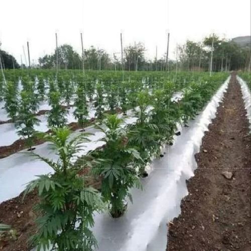 Biodegradable Mulching Film