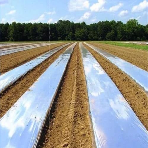 Flat Mulching Film