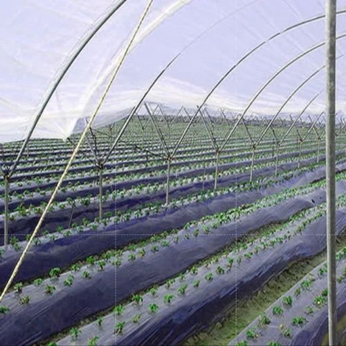 Greenhouse Mulching Film