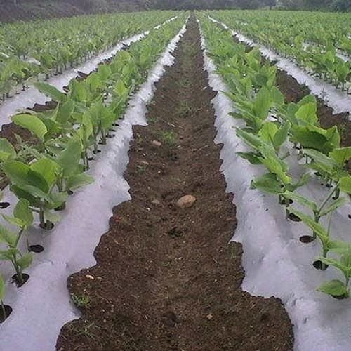 Horticultural Mulching Film