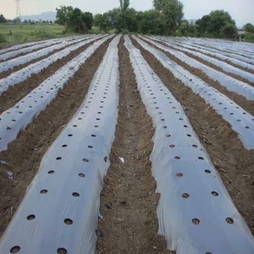 LDPE Mulching Film