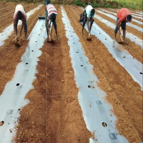 Plastic Mulching Paper