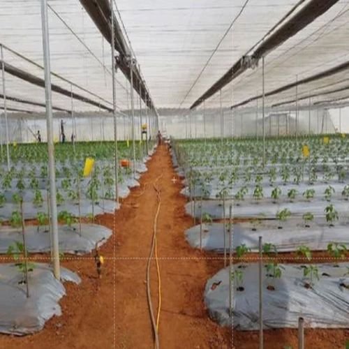 Poly House Mulching Film