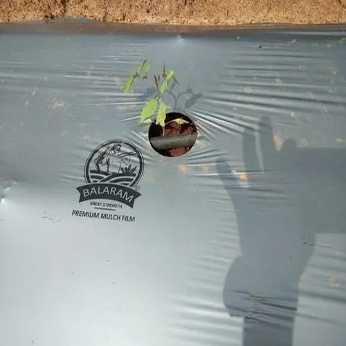 Silver Mulching Paper