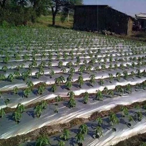 Triple Layer Mulching Film