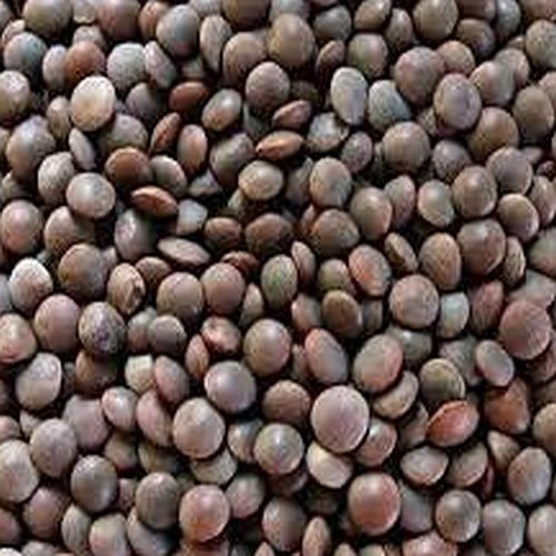Black Masoor Dal