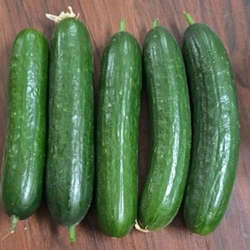 Fresh English Cucumber