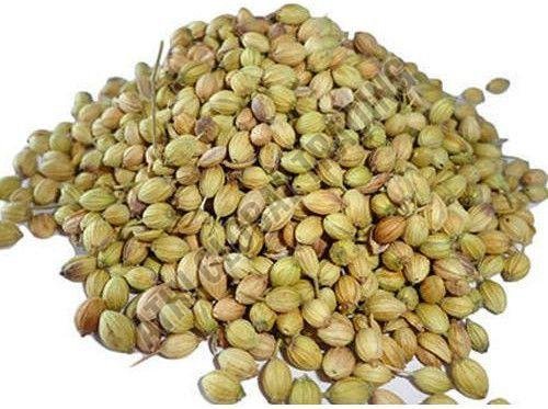 Dried Coriander Seeds