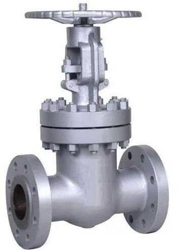 Mild Steel Stainless Steel Globe Valve