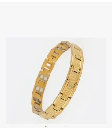 Bio Magnetic Titanium Bracelet