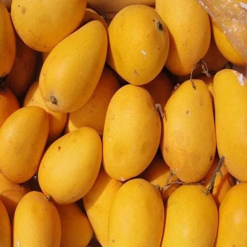 Yellow Bhagalpuri Jardalu Mango