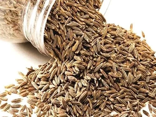 Indian Spices