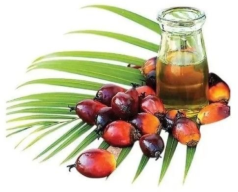 Rbd Palm Olein Oil