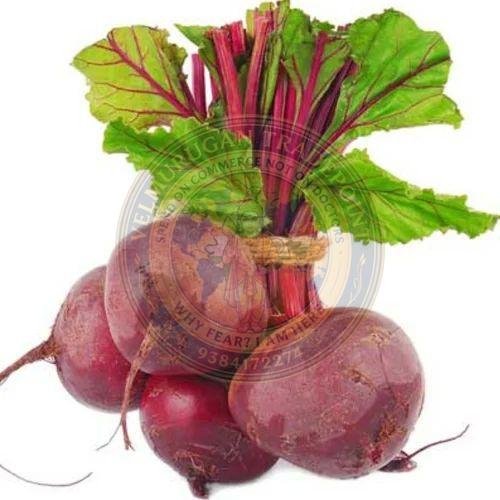 A Grade Fresh Beetroot
