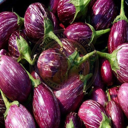 Fresh Vegetables