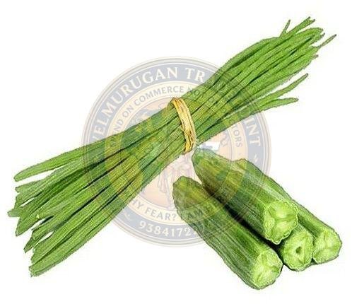 A Grade Fresh Drumstick
