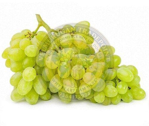 A Grade Fresh Green Grapes