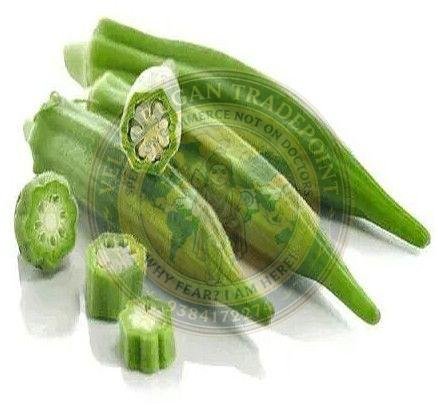 A Grade Fresh Okra