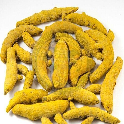 A Grade Turmeric Finger