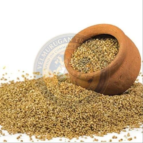 Millet Seeds
