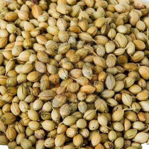 Coriander Seeds