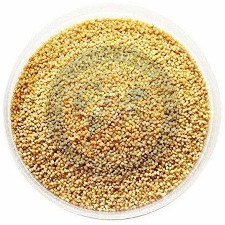 Foxtail Millet Seeds