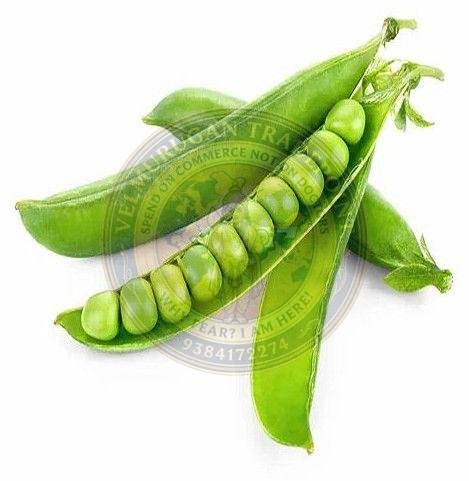 Fresh Green Peas