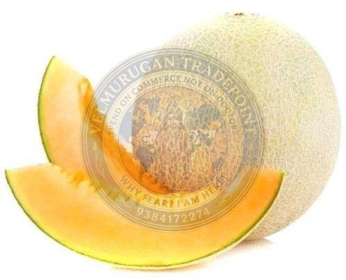 Fresh Muskmelon