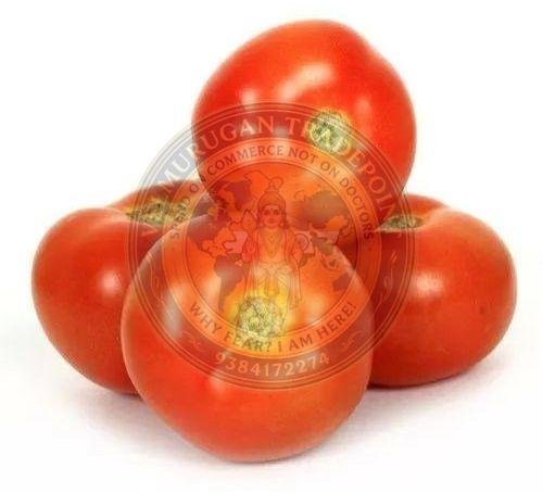Fresh Red Tomato
