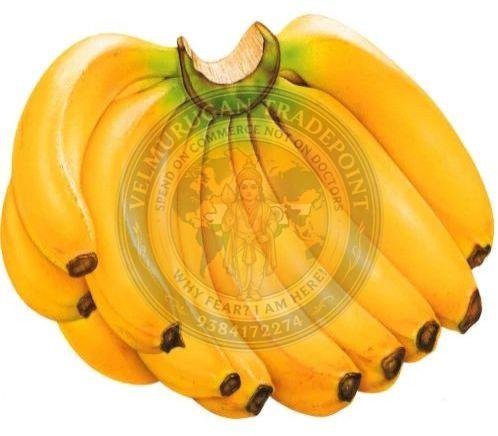 Fresh Yellow Banana