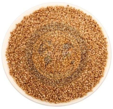 Kodo Millet Seeds