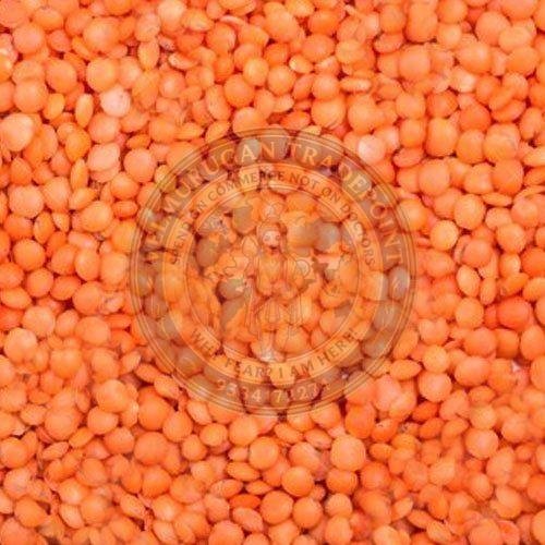 Whole Red Masoor Dal