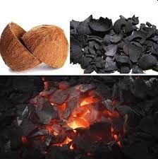 Coconut Shell Charcoal