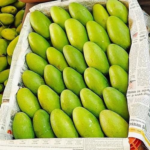 A Grade Fresh Dasheri Mango