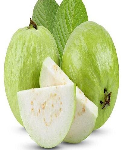 A Grade Fresh Green Guava
