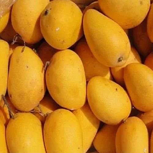Fresh Banganapalli Mango