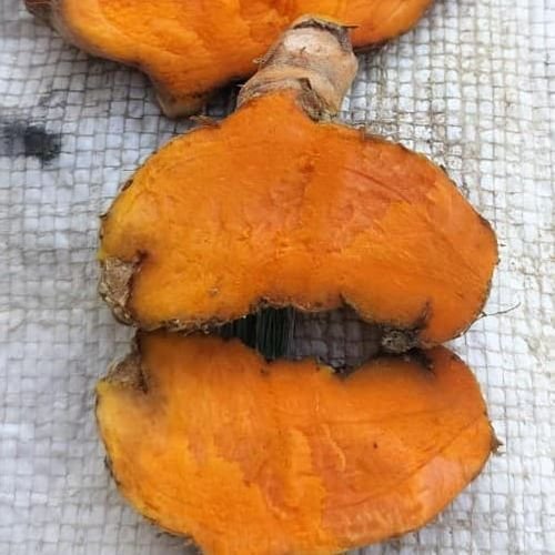 Dried Turmeric