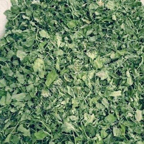 Fresh Moringa Leaves