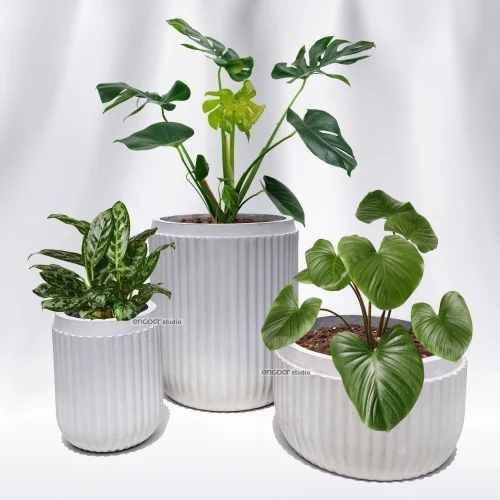 Designer GRC Pot
